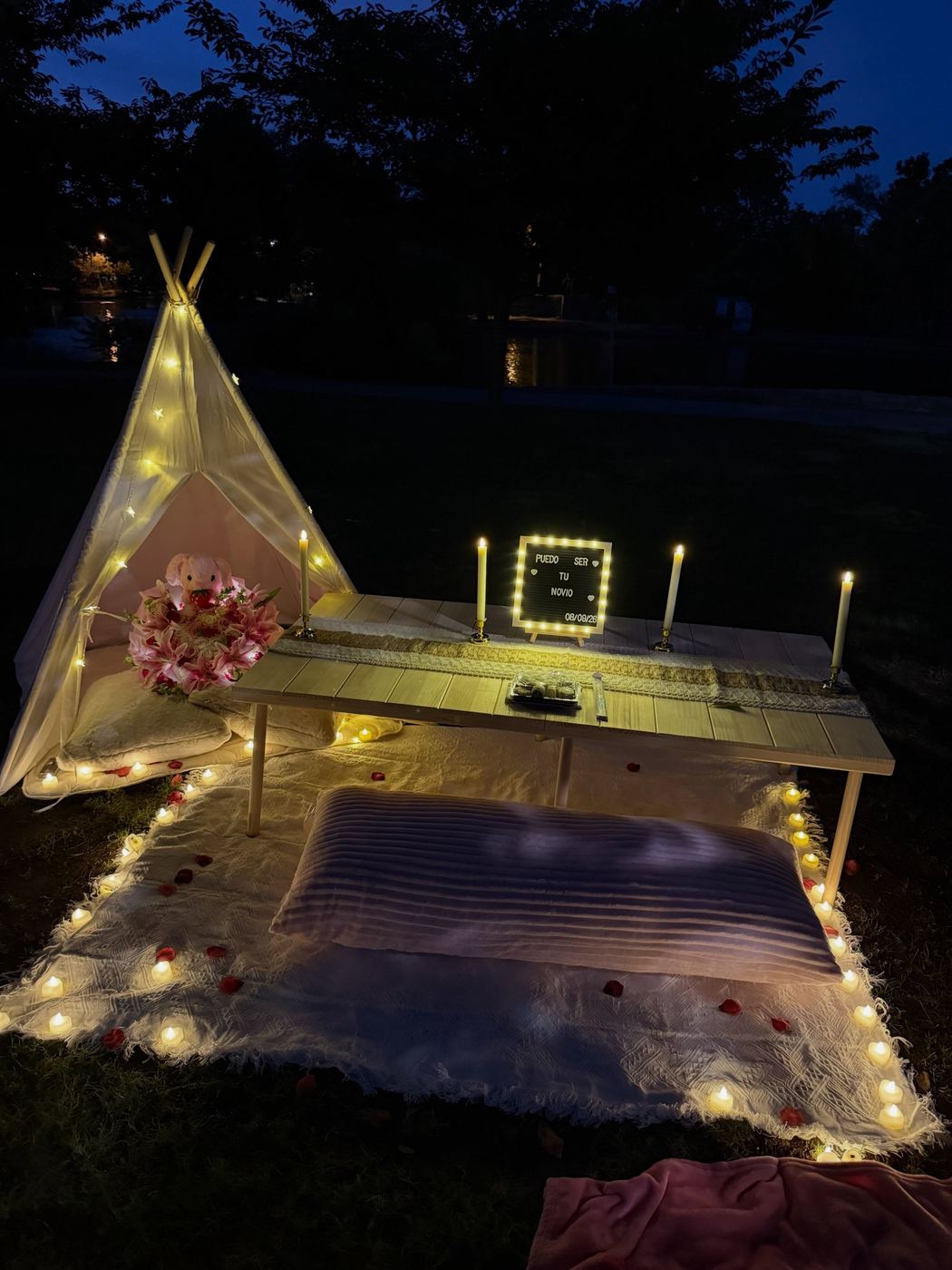 Picnic Setups example 3