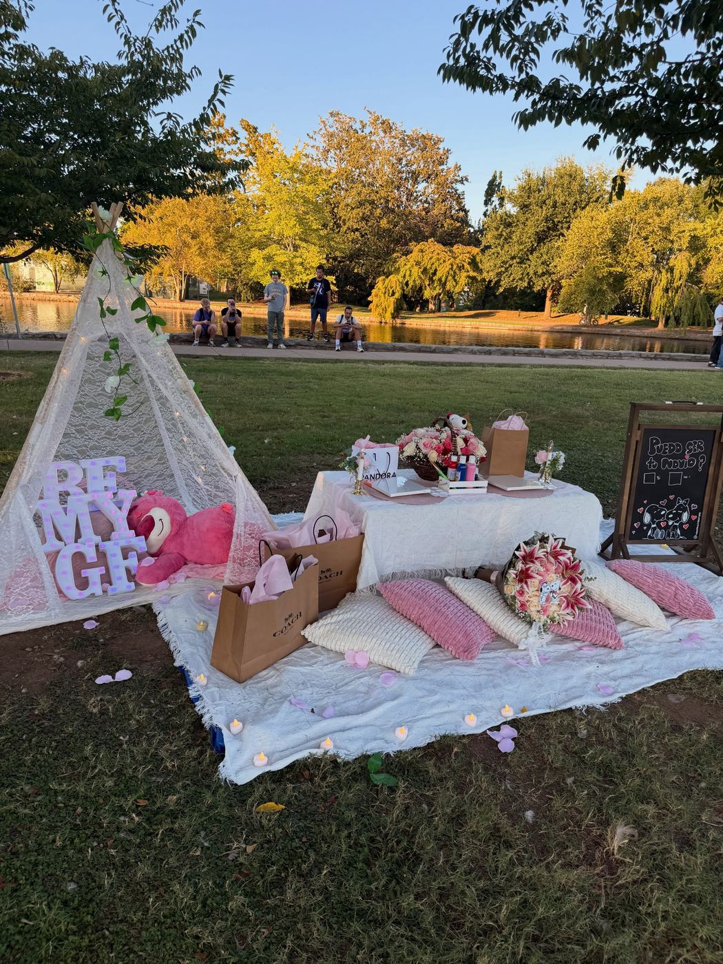 Picnic Setups example 4