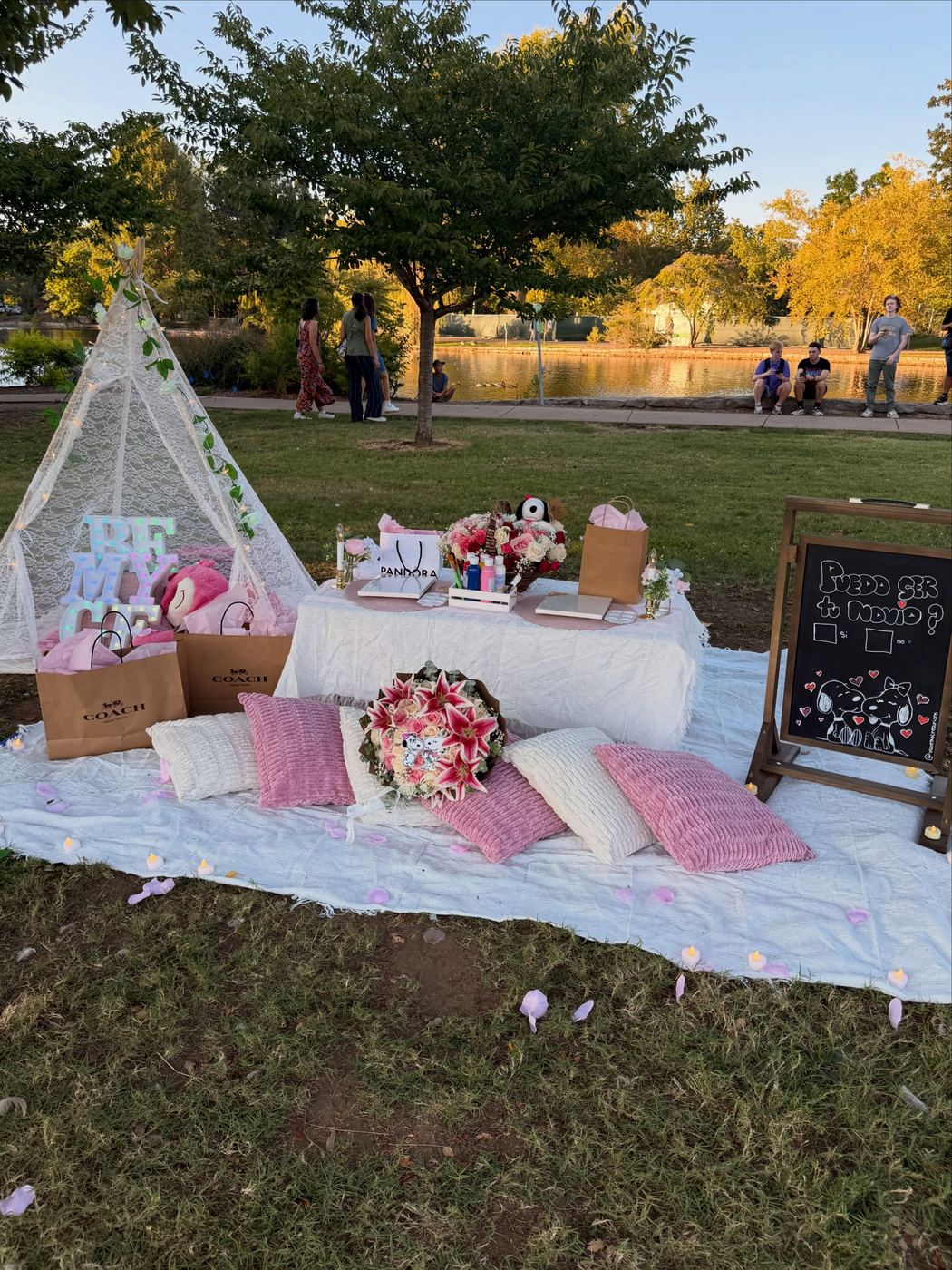 Picnic Setups example 9